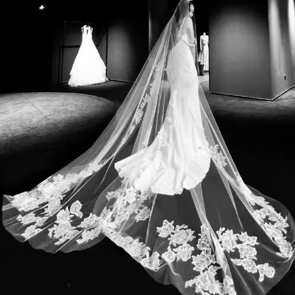 Vera Wang Veil (Chapel Length) Brand New